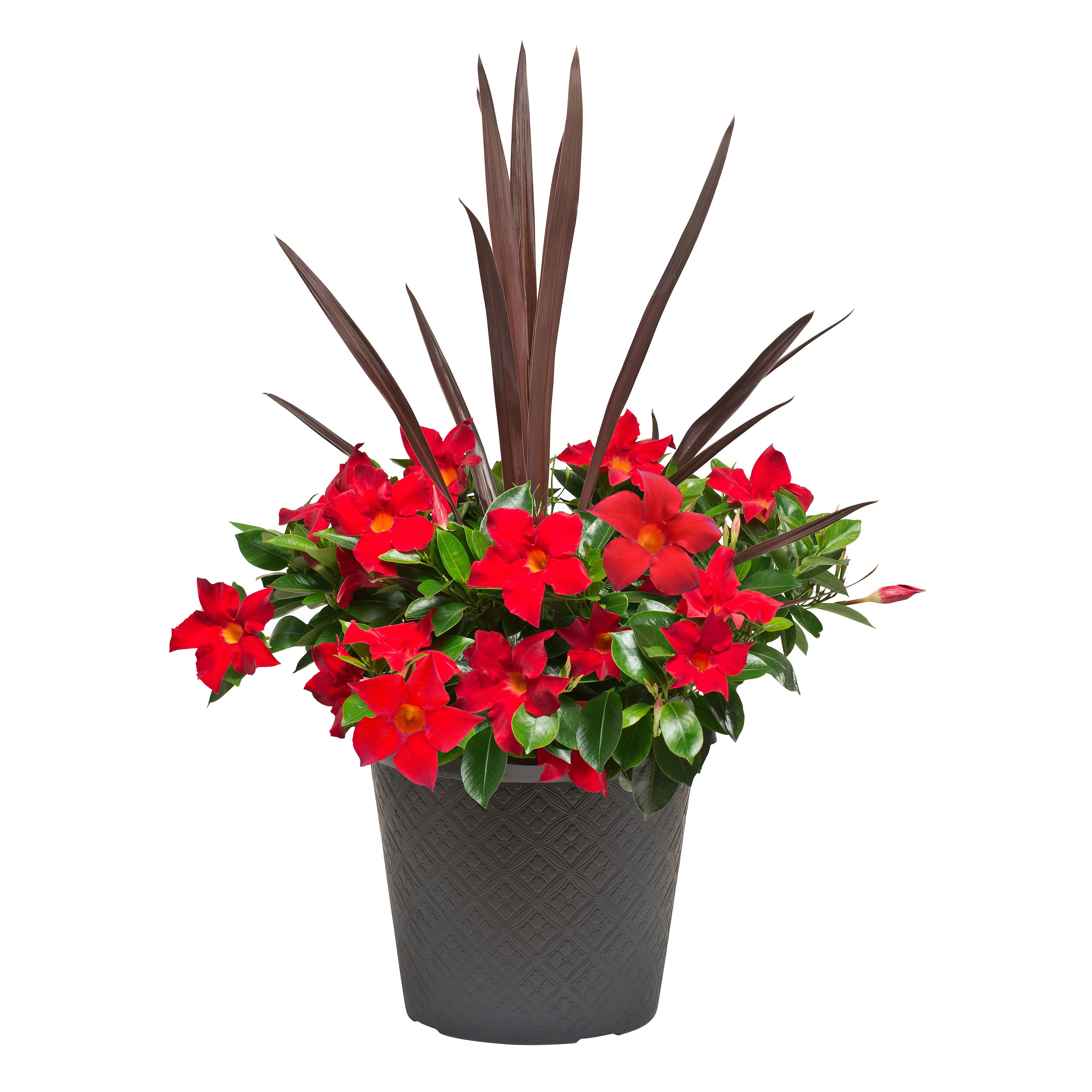 New Home Essentials and Checklists The Home Depot